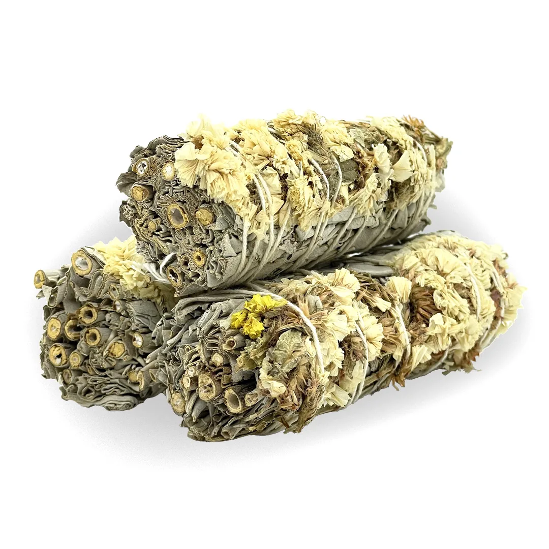Xo-Thom-Trang-Sinuata-Trắng-3